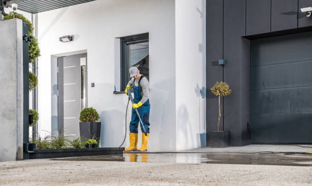 Best Roof Washing  in Pullman, WA